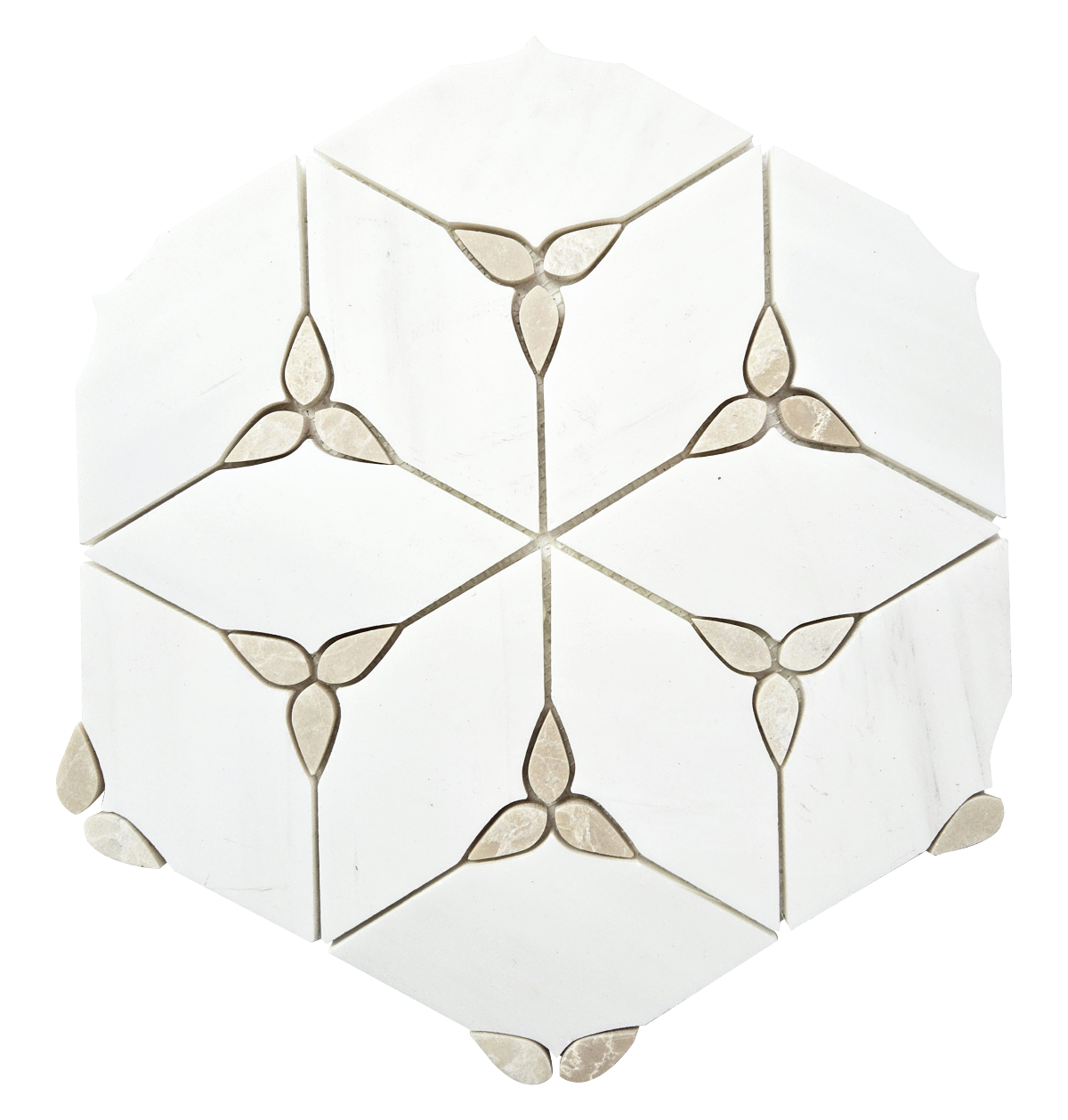 NOBU Dolomite Marble W/ Crema Nova - Honed  - DW TILE & STONE - Atlanta Marble Natural Stone Wholesale Stone Supplier