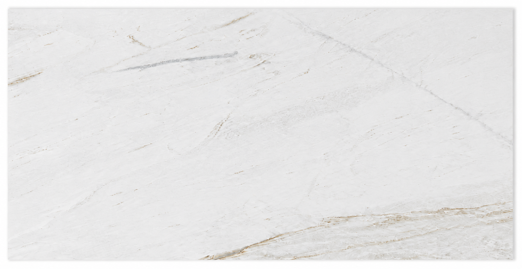 Calacatta Velato Marble Premium Floor and Wall Tile