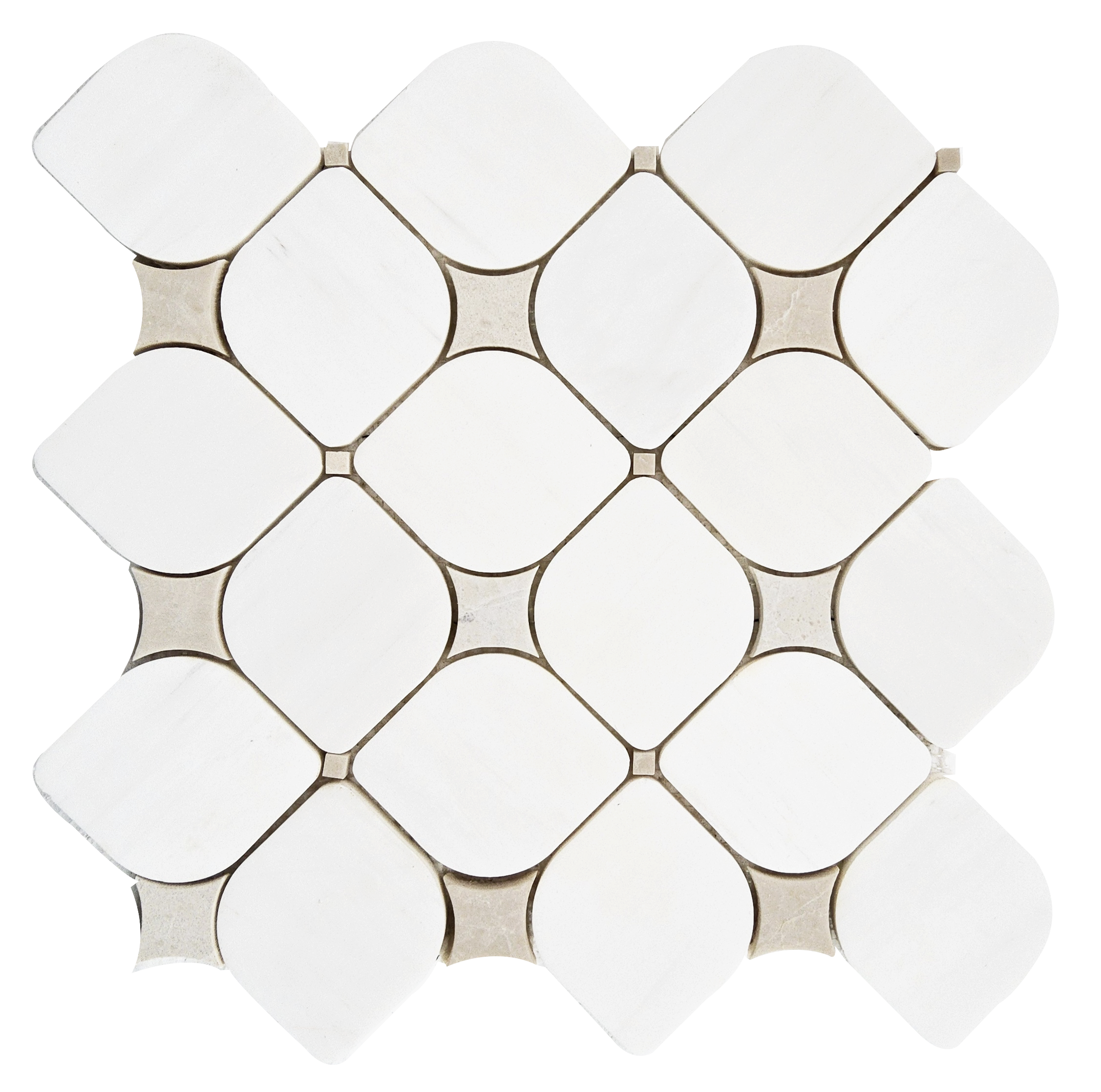 STARDUST Dolomite Marble W/ Crema Nova - Polished  - DW TILE & STONE - Atlanta Marble Natural Stone Wholesale Stone Supplier