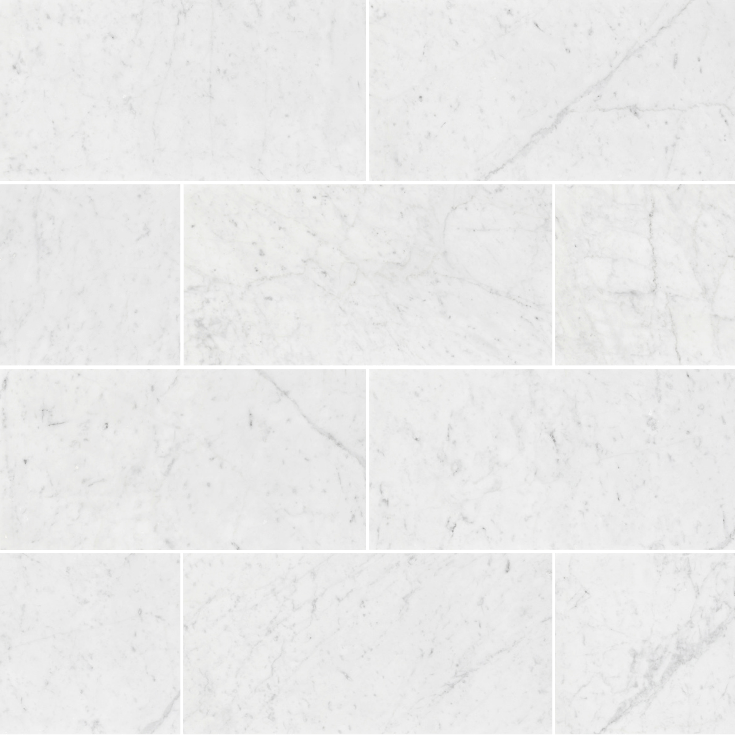 Bianco Gioia Marble Floor and Wall Tile Honed / 12" x 24" - DW TILE & STONE - Atlanta Marble Natural Stone Wholesale Stone Supplier