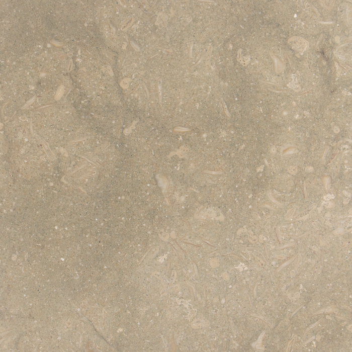 Seagrass Limestone Floor and Wall Tiles Honed / 18" x 18" - DW TILE & STONE - Atlanta Marble Natural Stone Wholesale Stone Supplier