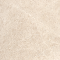 Crema Nova Marble Floor and Wall Tile Honed / 12" x 12" - DW TILE & STONE - Atlanta Marble Natural Stone Wholesale Stone Supplier