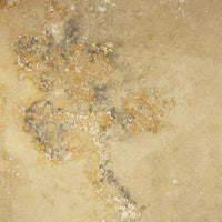 Autumn Leaves Travertine Floor and Wall Tiles Honed / 12" x 12" - DW TILE & STONE - Atlanta Marble Natural Stone Wholesale Stone Supplier